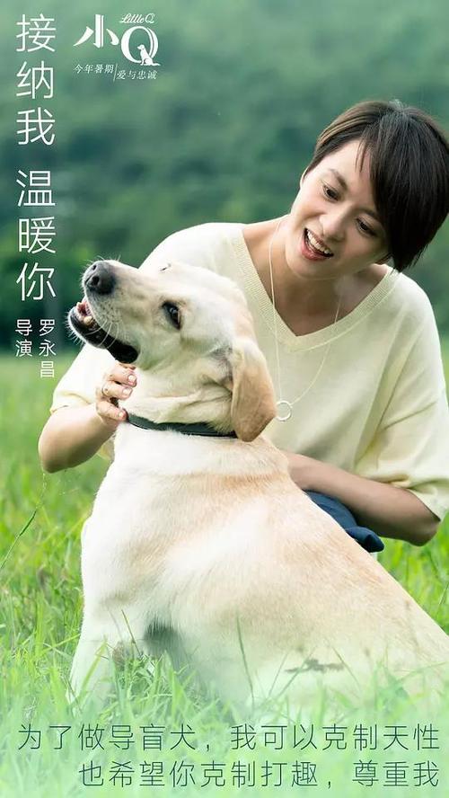 哪里能办理卢森堡驾驶证